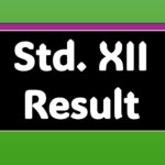 Std XII Result
