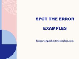 Spot the Error examples